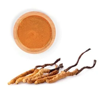 Is Cordyceps Militaris Powder Safe to Use?
